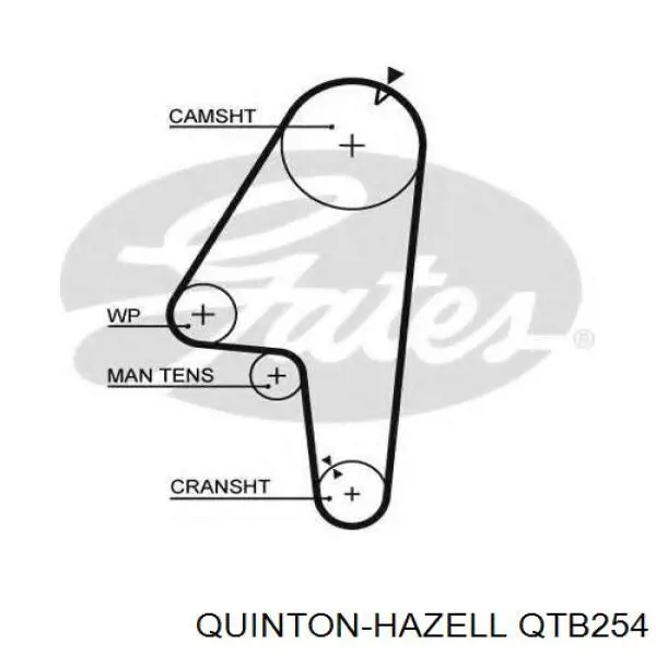 QTB254 QUINTON HAZELL correa distribucion