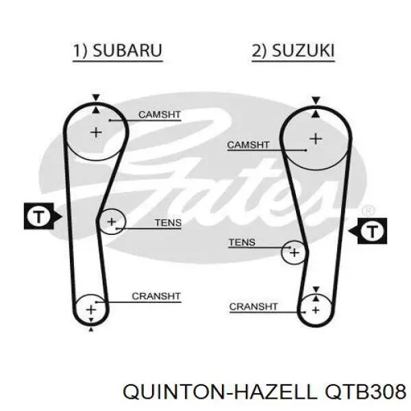 ADS77503 Blue Print Correa dentada