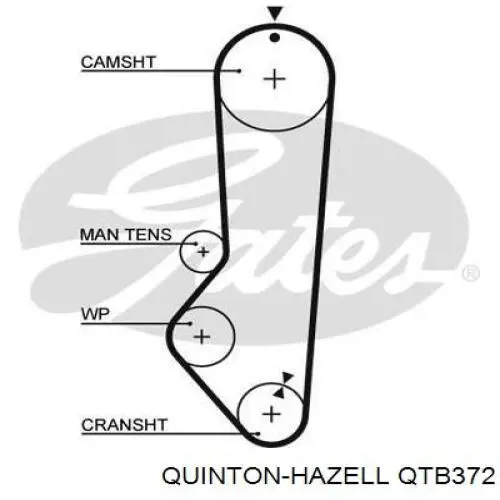 QTB372 QUINTON HAZELL correa distribucion