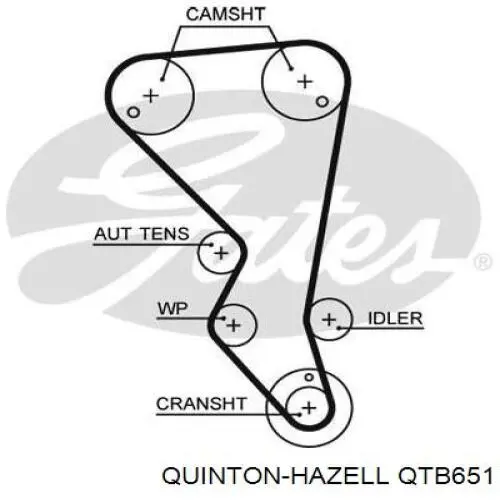 QTB651 QUINTON HAZELL correa distribucion