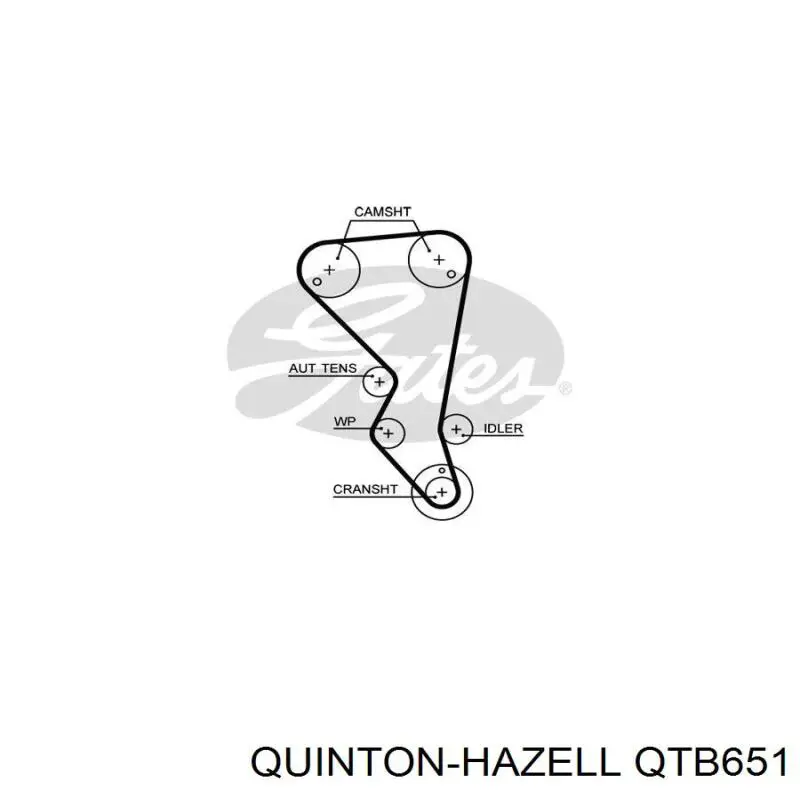 Correa distribucion Ford Fiesta JH, JD