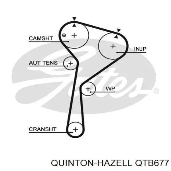Correa distribucion Nissan Qashqai 1 J10