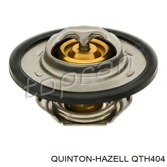 Termostato, refrigerante Renault Laguna 2 BG0, BG1
