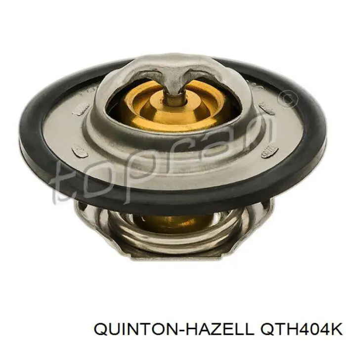Termostato, refrigerante Renault Laguna 2 BG0, BG1
