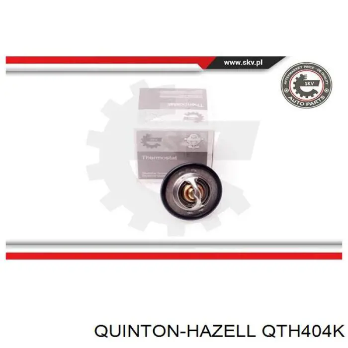 Termostato, refrigerante Renault Laguna 2 BG0, BG1