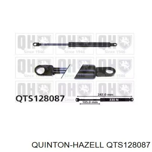 Comprar ZS03066 Japan Parts Amortiguador de puerta trasera