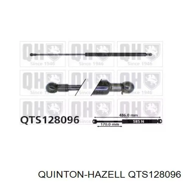 Amortiguador de maletero QUINTON HAZELL QTS128096 precio, desde 13,63 EUR