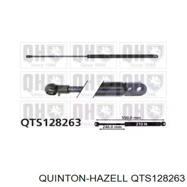 60502523 Fiat/Alfa/Lancia Amortiguador de porton
