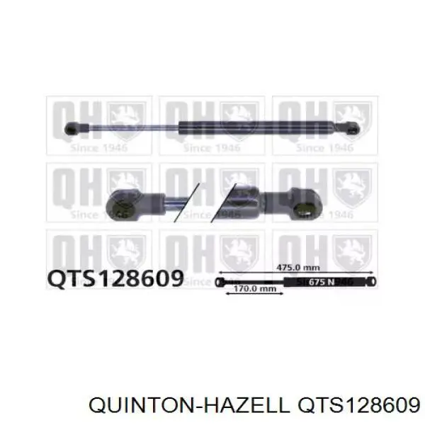 Amortiguador de maletero Renault (RVI) 7700427547 precio, desde 10,32 EUR