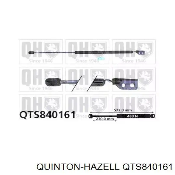 Amortiguador de maletero Hyundai/Kia 8178025200DS precio, desde 33,40 EUR