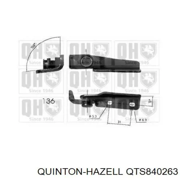 Amortiguador de maletero QUINTON HAZELL QTS840263 precio, desde 46,34 EUR
