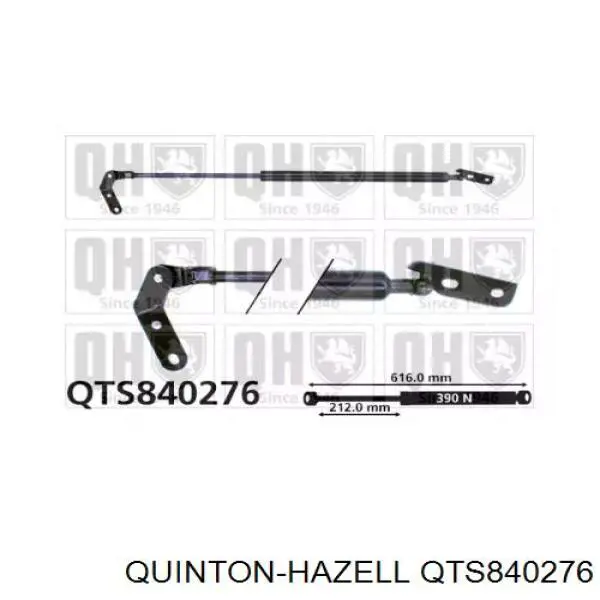 QTS840276 QUINTON HAZELL Amortiguador de porton