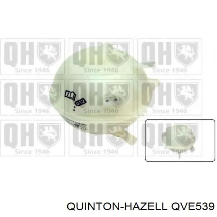 QVE539 QUINTON HAZELL botella de refrigeración