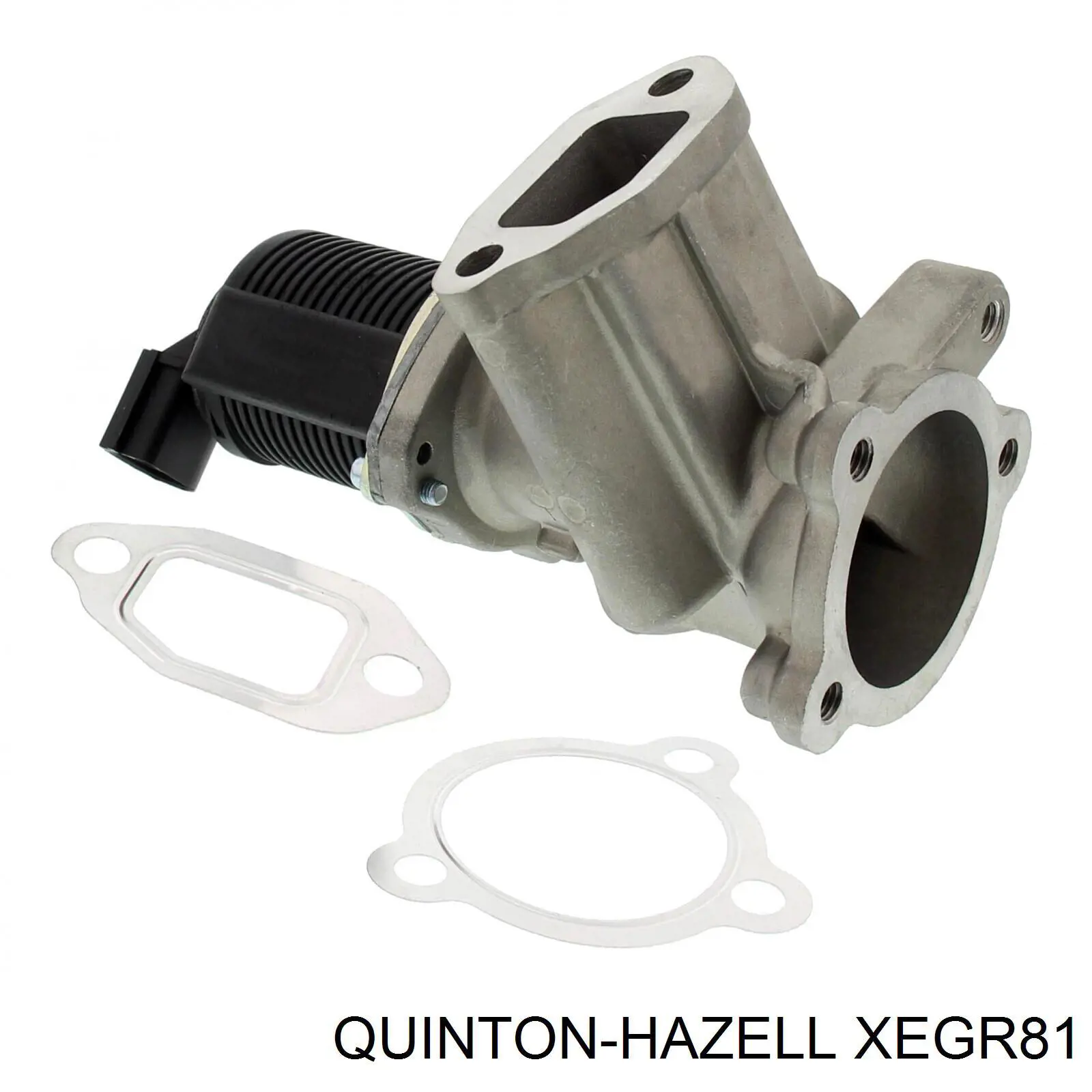 Comprar FT60204 Fast Válvula EGR