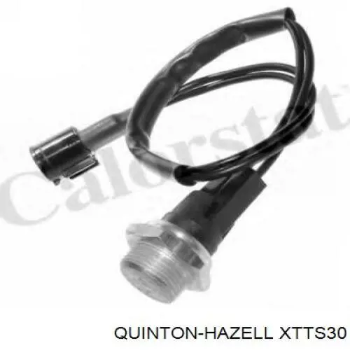 Sensor de temperatura del refrigerante Delphi TS10484 precio, desde 14,44 EUR