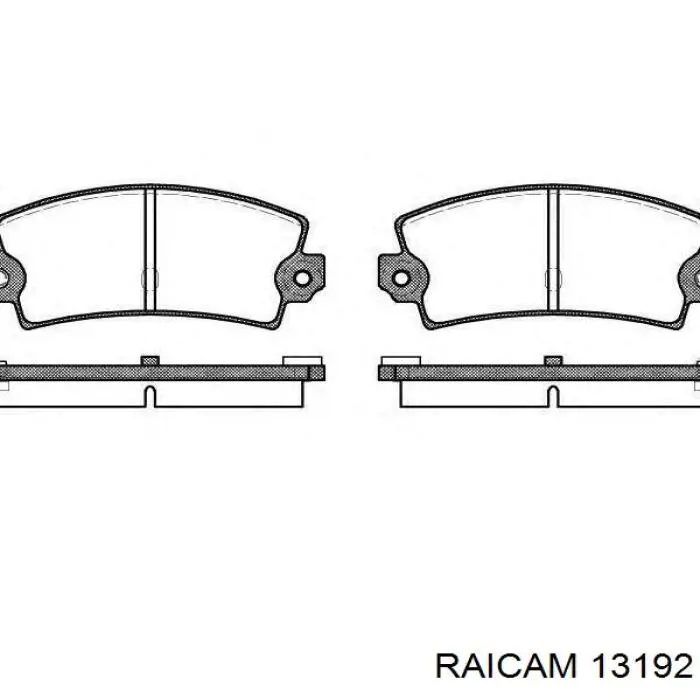 13192 Raicam