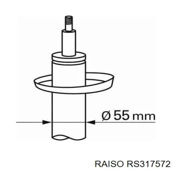 RS317572 Raiso Amortiguador frontal