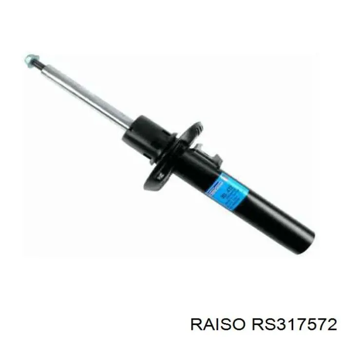 Amortiguadores Raiso RS317572 precio, desde 37,75 EUR