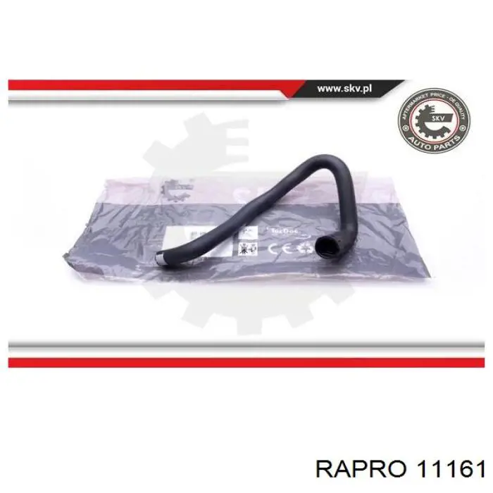 11161 Rapro