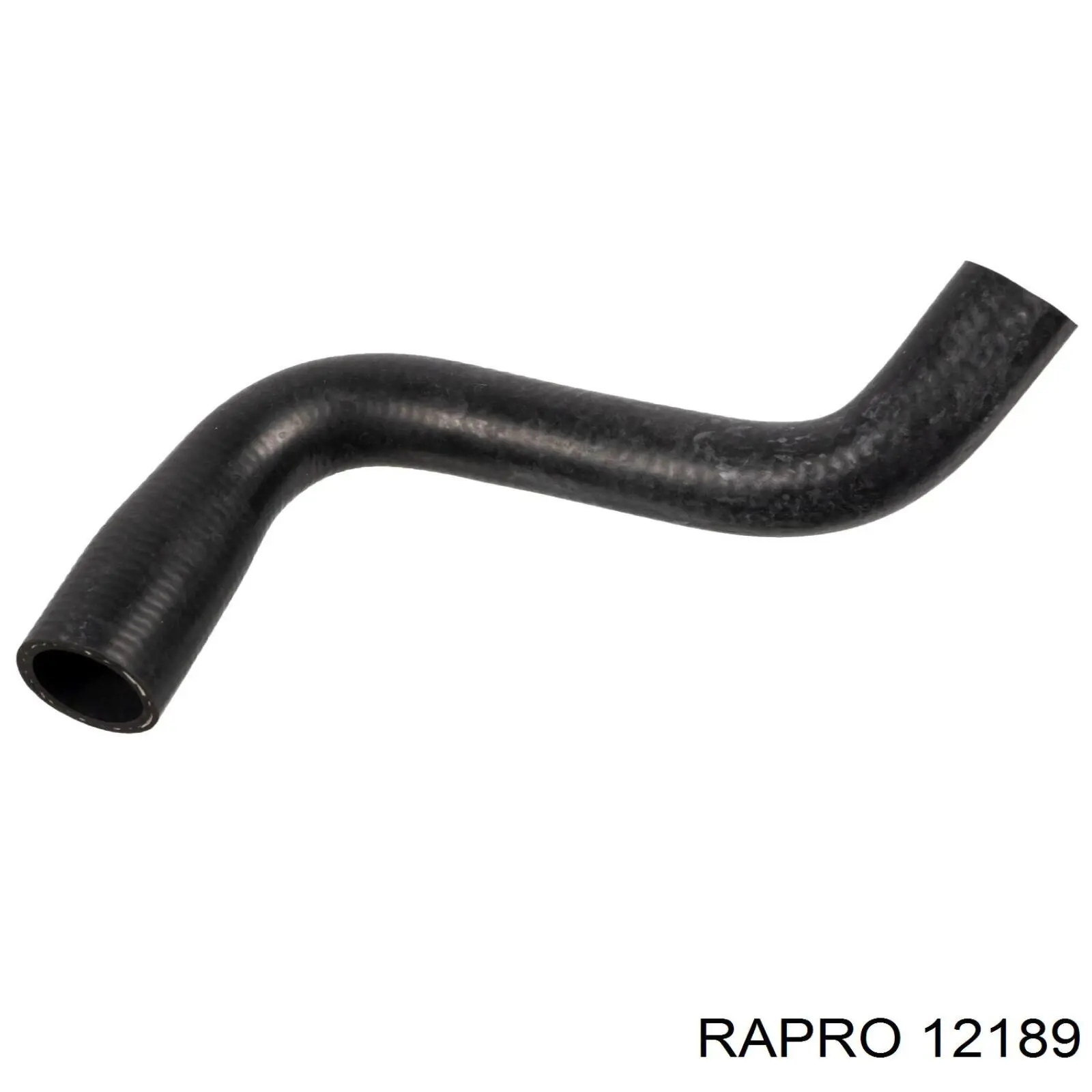 Tubería de radiador, tuberia flexible calefacción, inferior para Renault Megane (BM0, CM0)