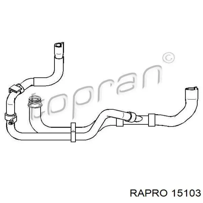 15103 Rapro manguera refrigerante para radiador inferiora