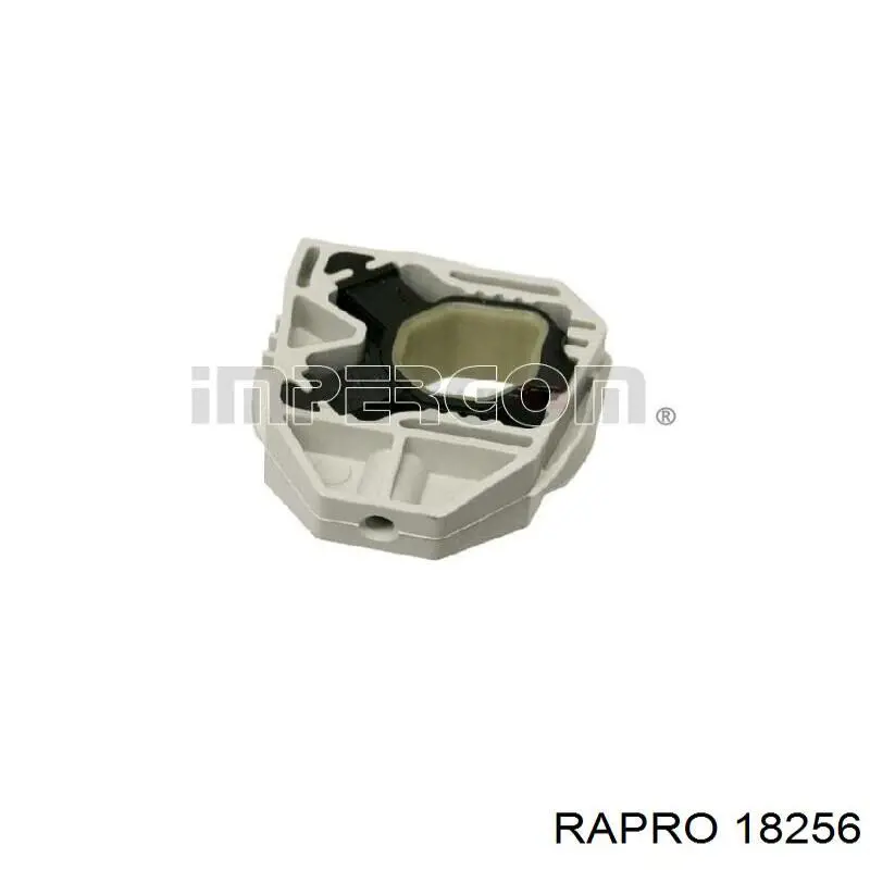 Manguera de admisión de la bomba de agua Rapro 18256 precio, desde 20,54 EUR