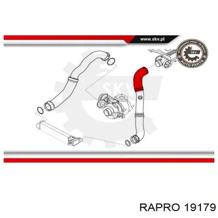 19179 Rapro tubo flexible de aire de sobrealimentación inferior izquierdo