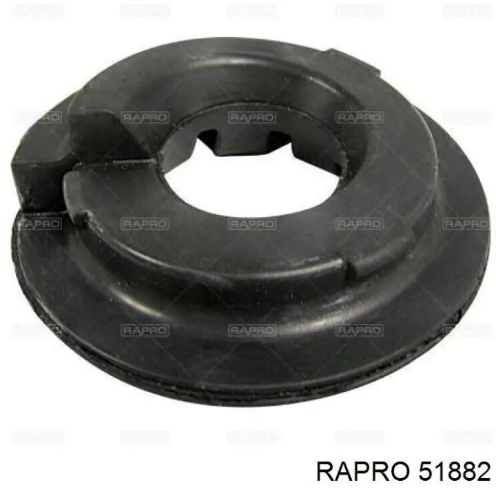 51882 Rapro