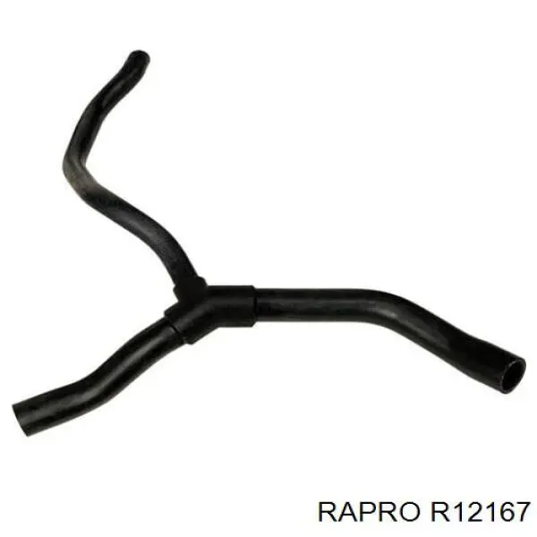 R12167 Rapro manguera refrigerante para radiador inferiora