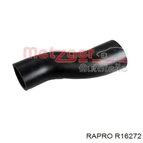 R16272 Rapro tubo del tanque, al cuello de llenado