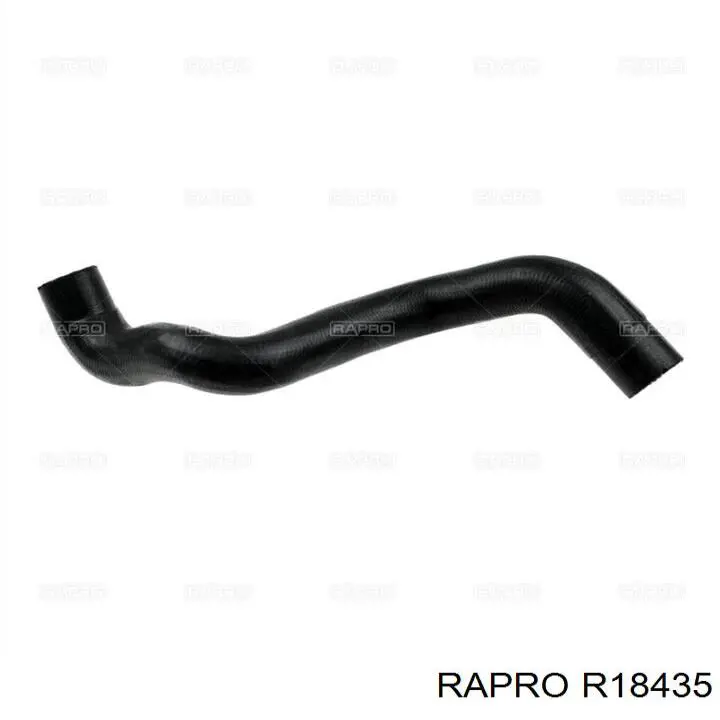 R18435 Rapro conducto aceite, turbocompresor, retorno