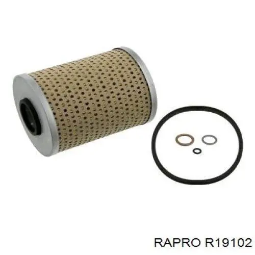 R19102 Rapro manguera refrigerante para radiador inferiora