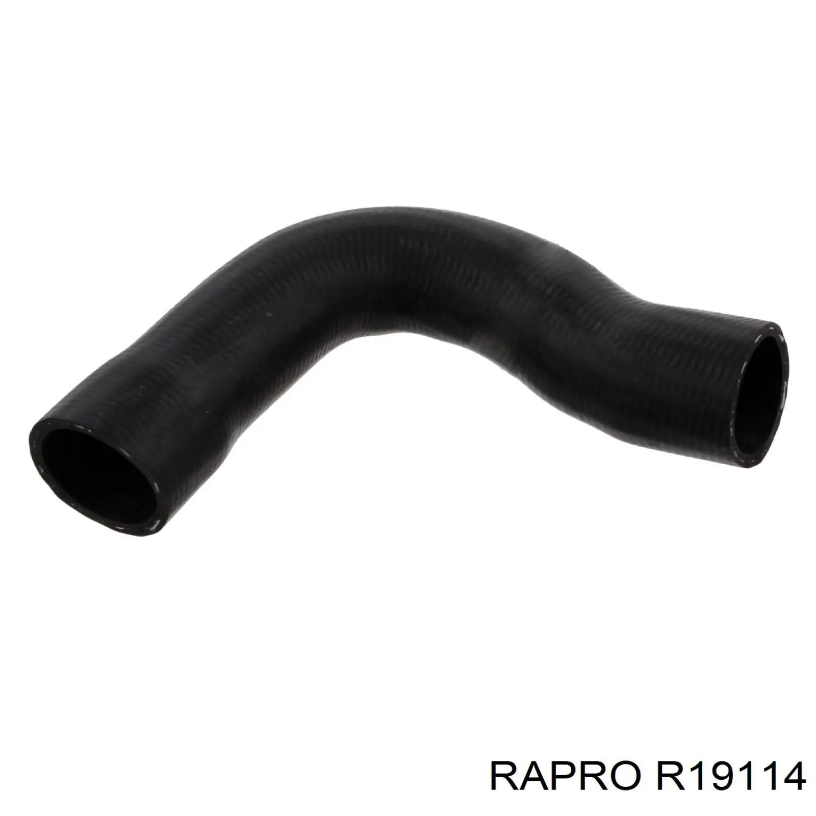 R19114 Rapro tubería de radiador arriba