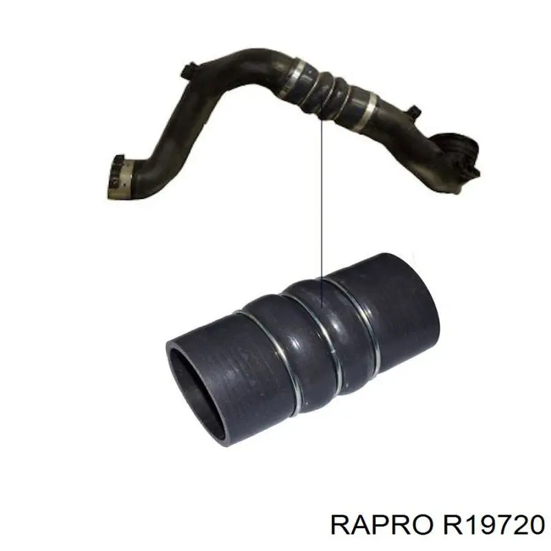 R19720 Rapro tubo flexible de aire de sobrealimentación superior izquierdo