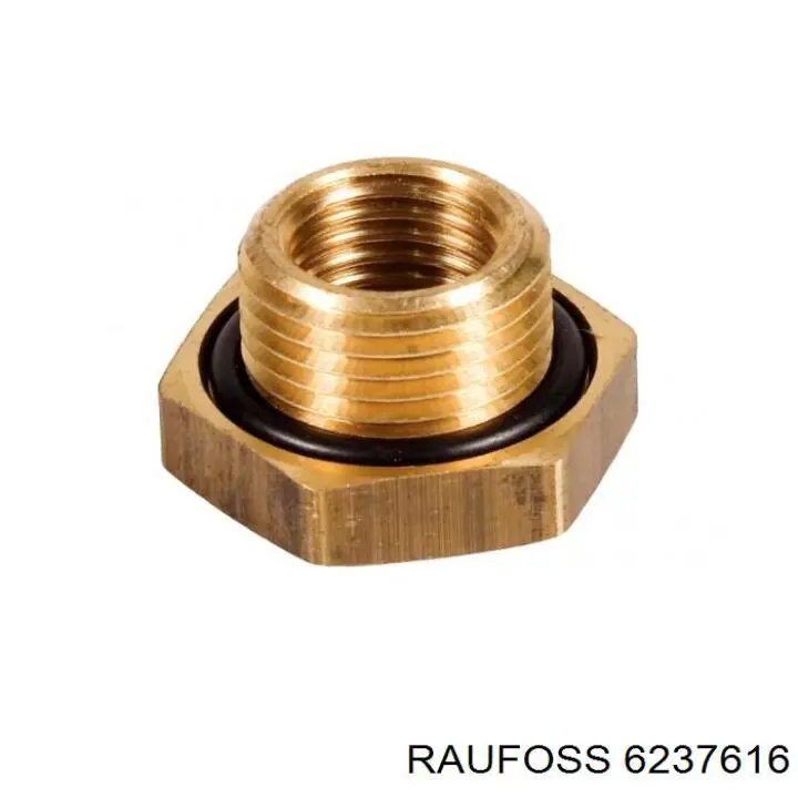  6237616 Raufoss
