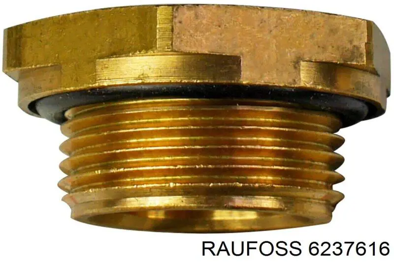 Comprar 6237616 Raufoss 