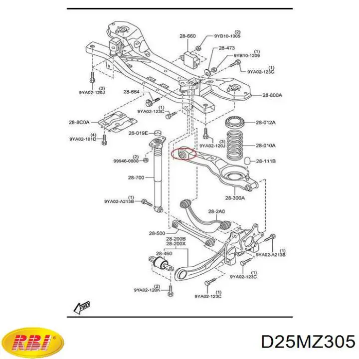 Buje del brazo inferior trasero RBI D25MZ305 precio, desde 5,82 EUR