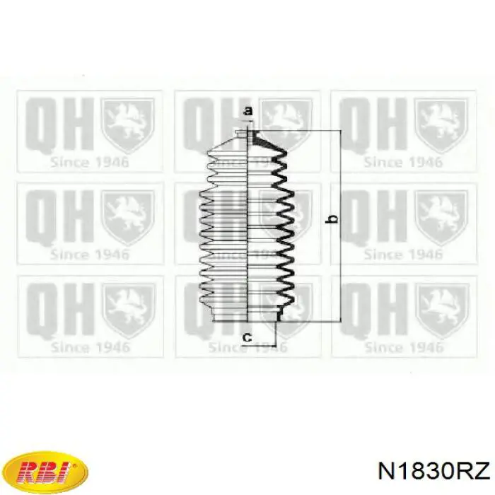 N1830RZ RBI bota de direccion derecha (cremallera)