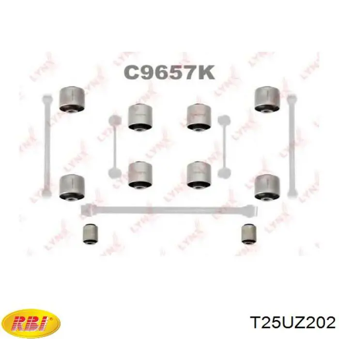 T25UZ202 RBI