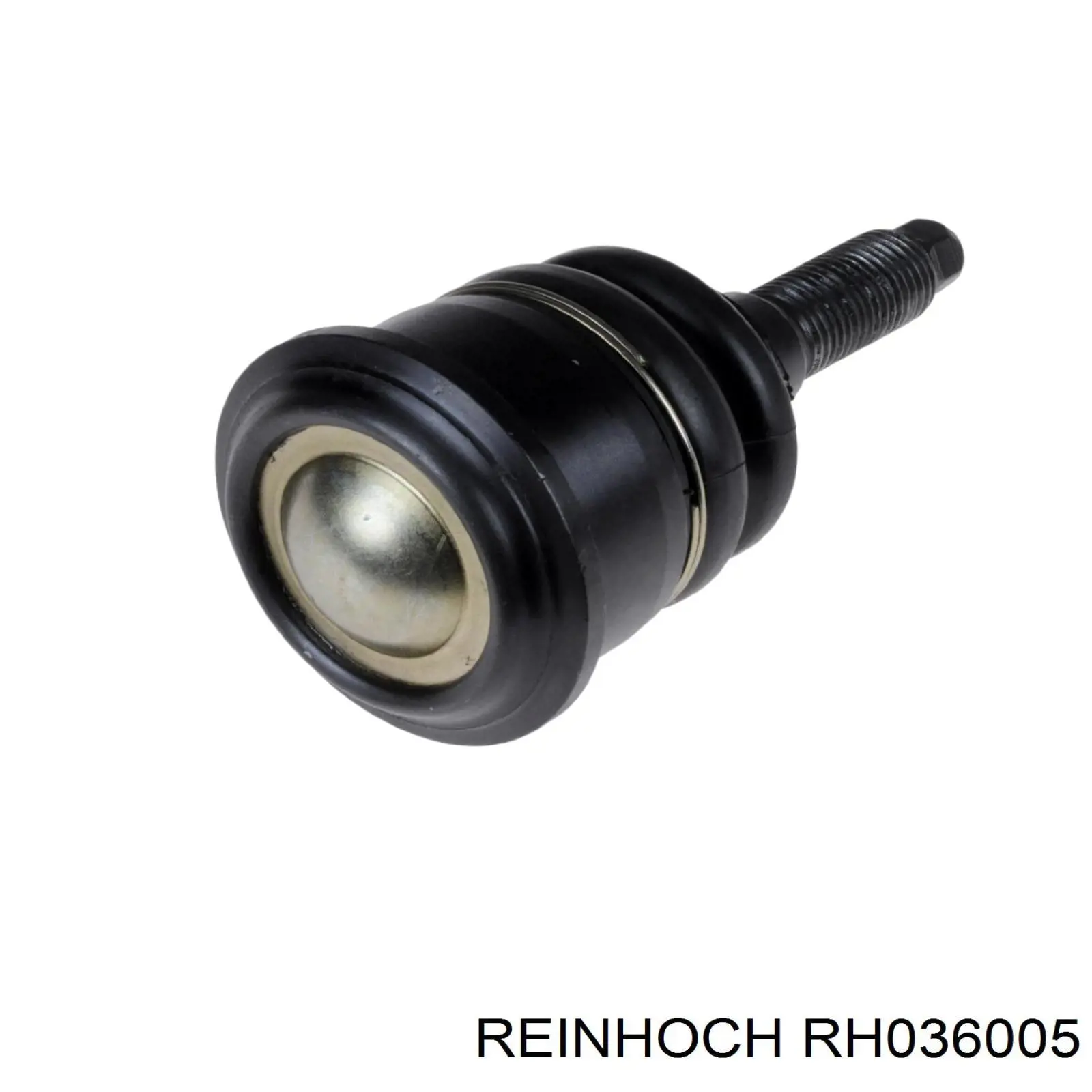 RH036005 Reinhoch rótula de suspensión inferior