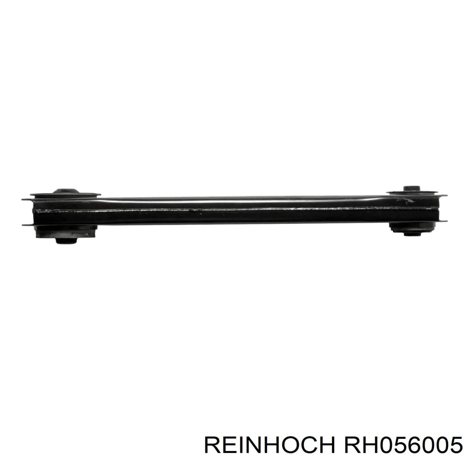 RH056005 Reinhoch