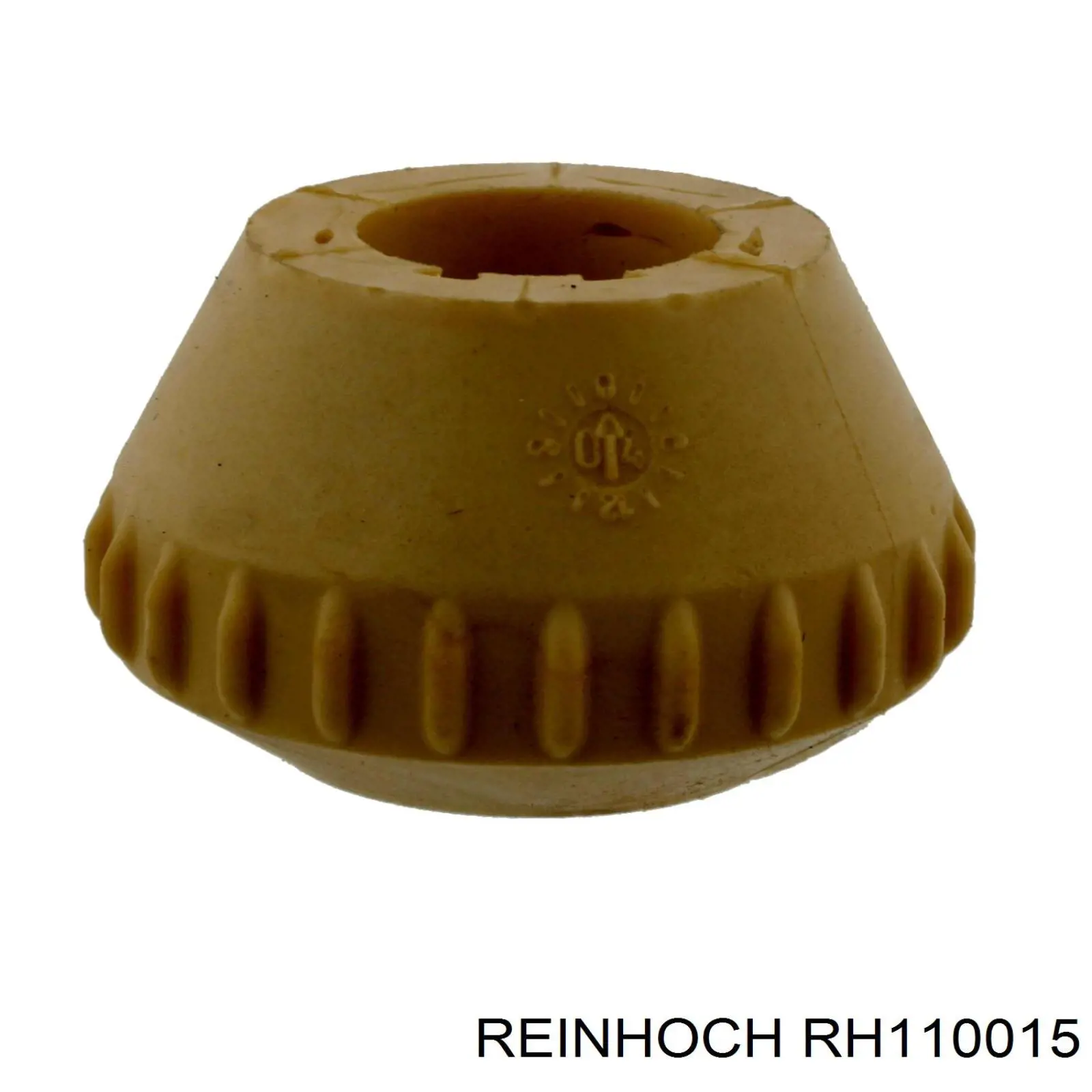 RH110015 Reinhoch