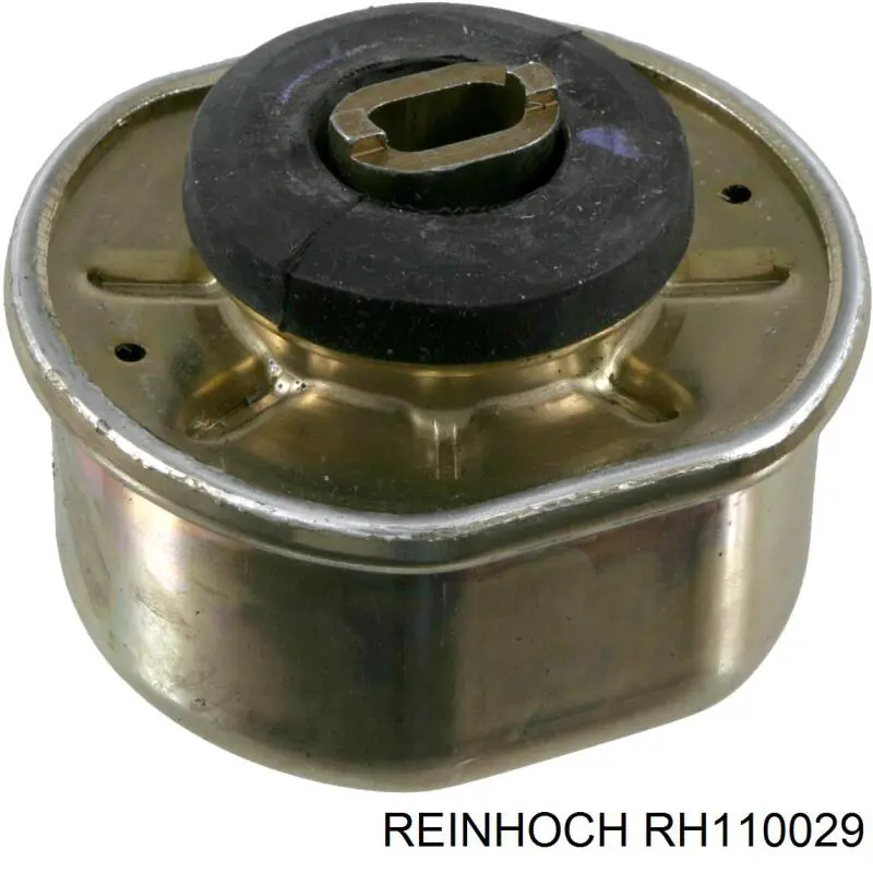 RH110029 Reinhoch