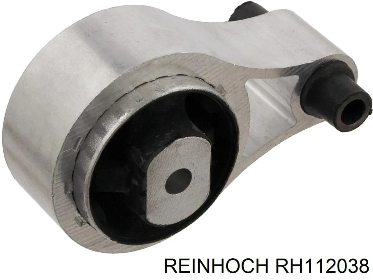 RH112038 Reinhoch