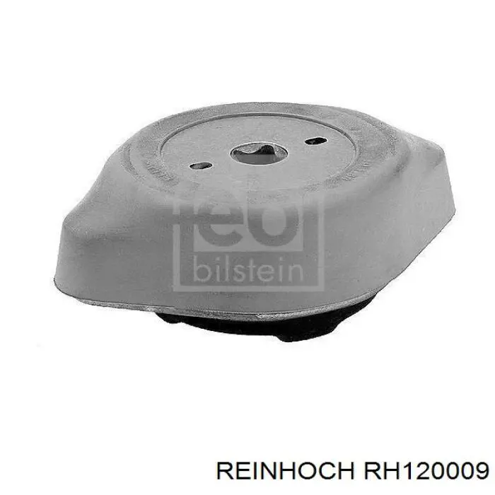 RH120009 Reinhoch