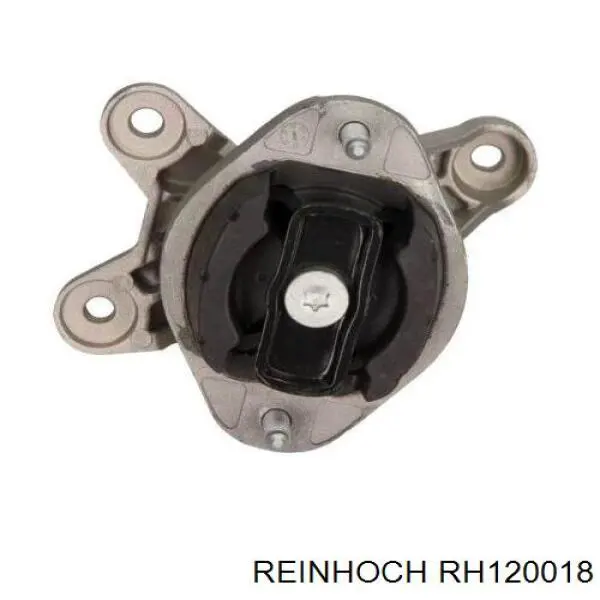 RH120018 Reinhoch montaje de transmision (montaje de caja de cambios)