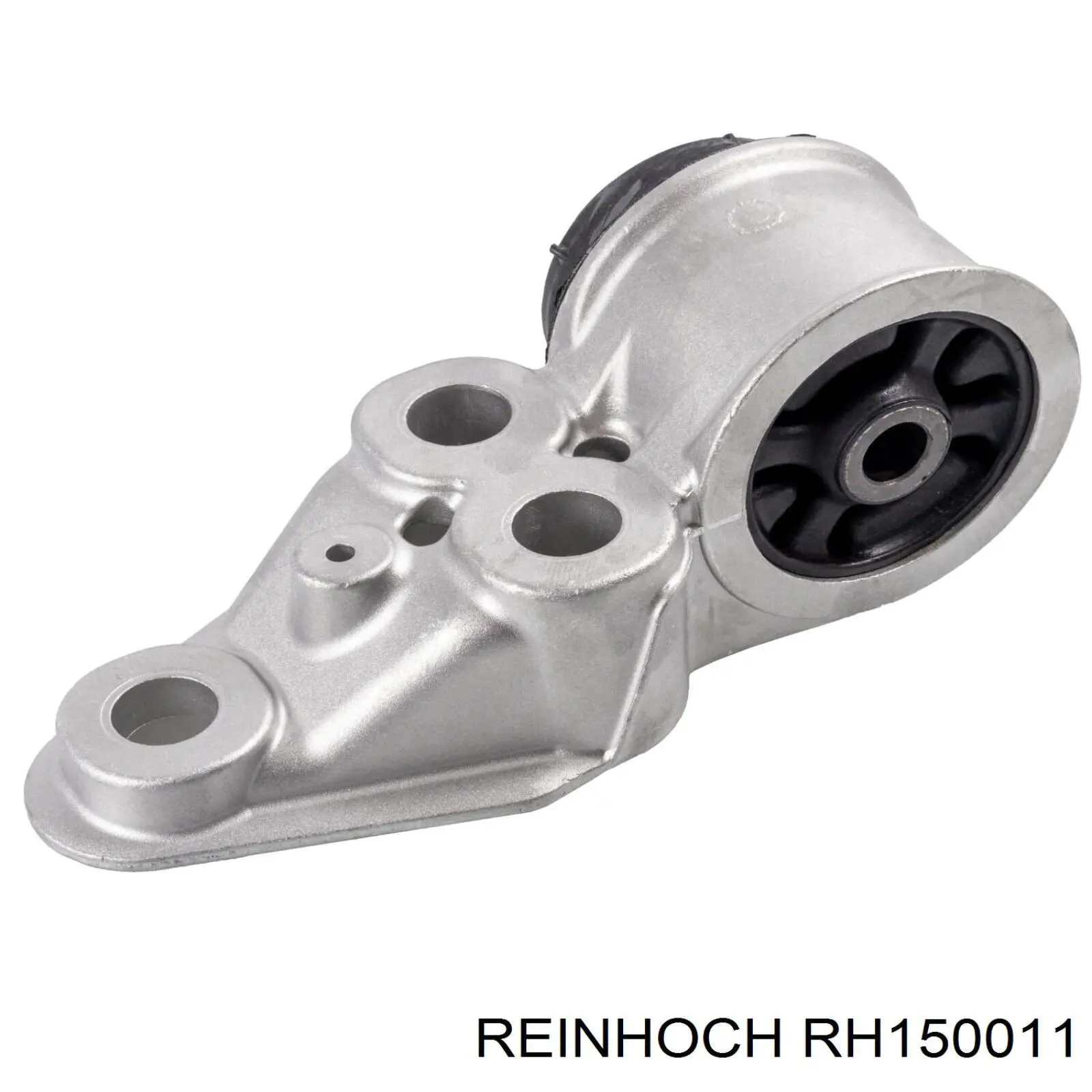 RH150011 Reinhoch suspensión, cuerpo del eje trasero