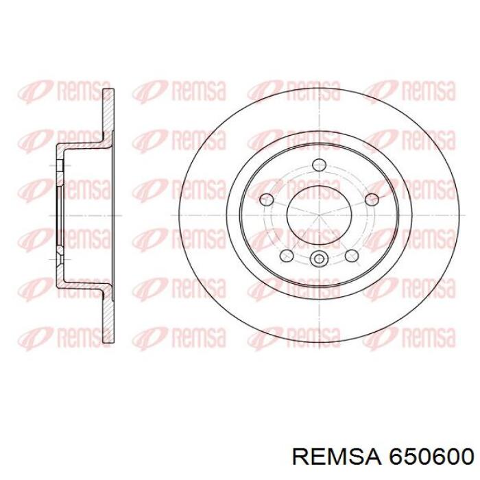 6506.00 Remsa disco de freno trasero