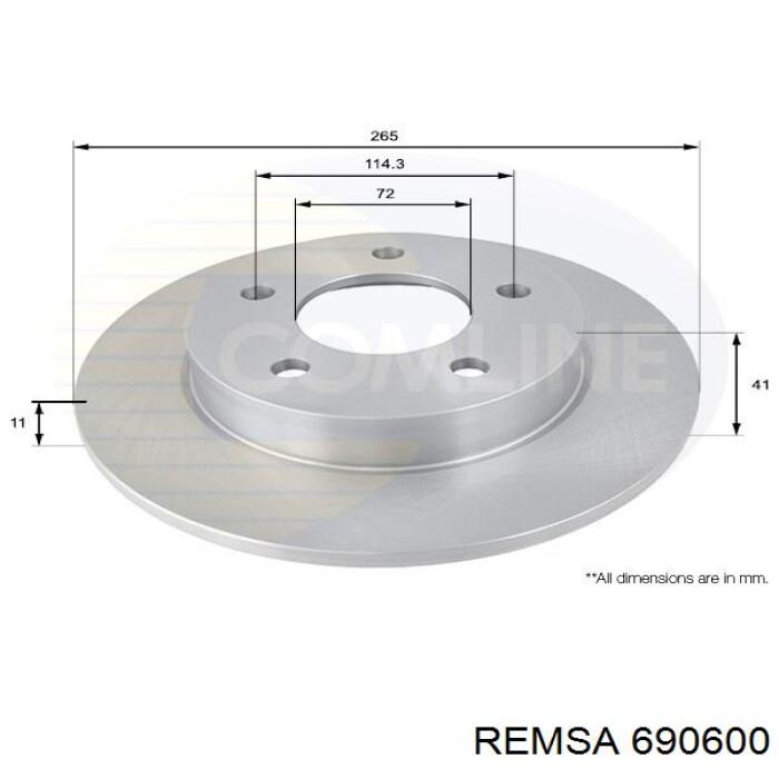 6906.00 Remsa disco de freno trasero