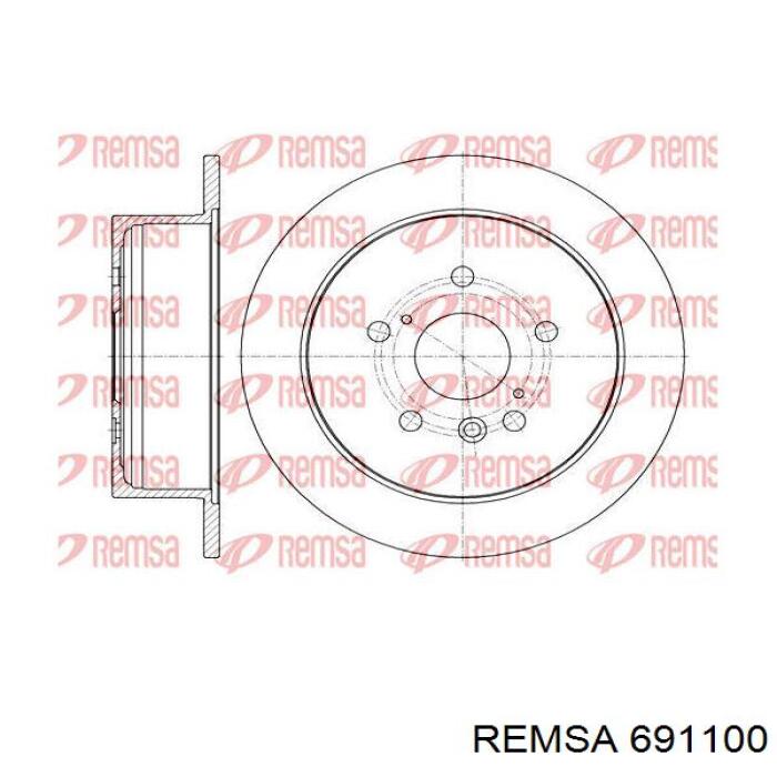 6911.00 Remsa disco de freno trasero